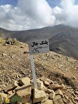 روزگاری که تهران پلنگ داشت؛ پلنگهای تهران کجا رفتند؟