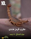 تصاویر | هرگز به این حیوانات سمی هیچوقت نزدیک نشوید