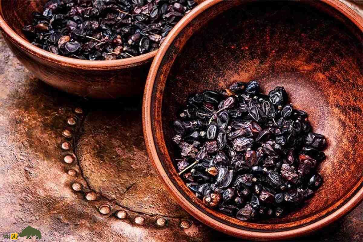زرشک سیاه؛ گنجینه گمشده خراسان که از زعفران هم نایابتر است زرشک سیاه؛ گنجینه گمشده خراسان که از زعفران هم نایابتر است