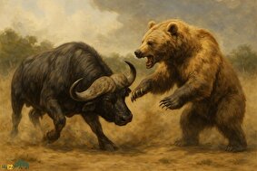 بوفالو قویتر است یا خرس و در نبرد بین این دو غول خشکی کدامیک برنده است؟
