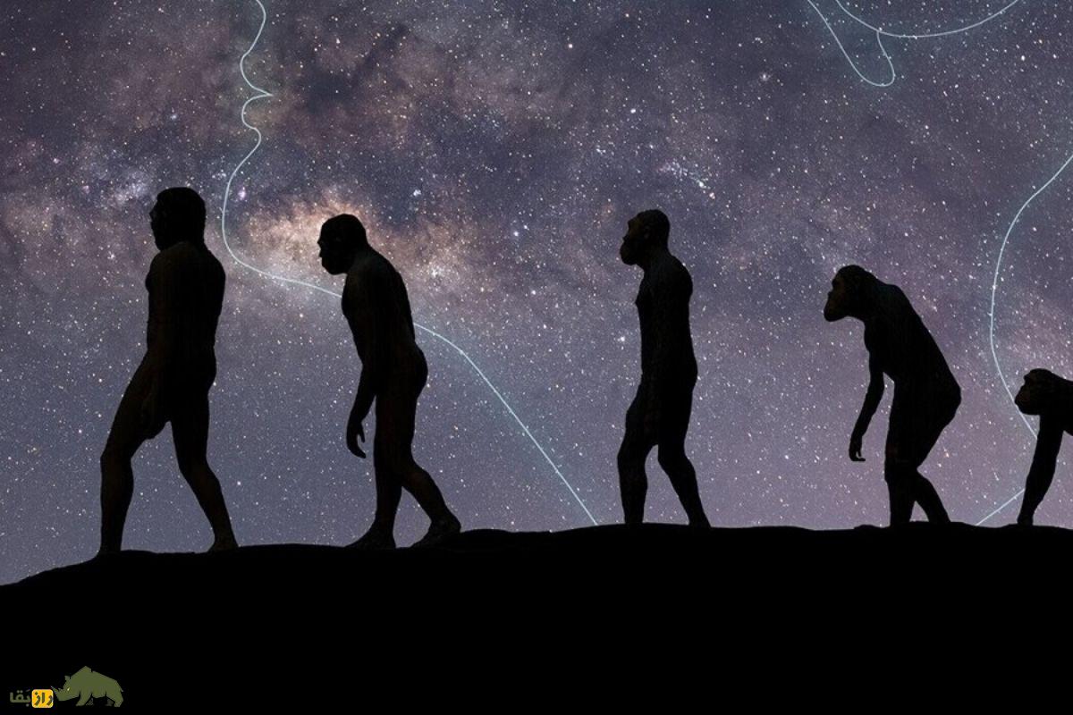 انسان‌های اولیه