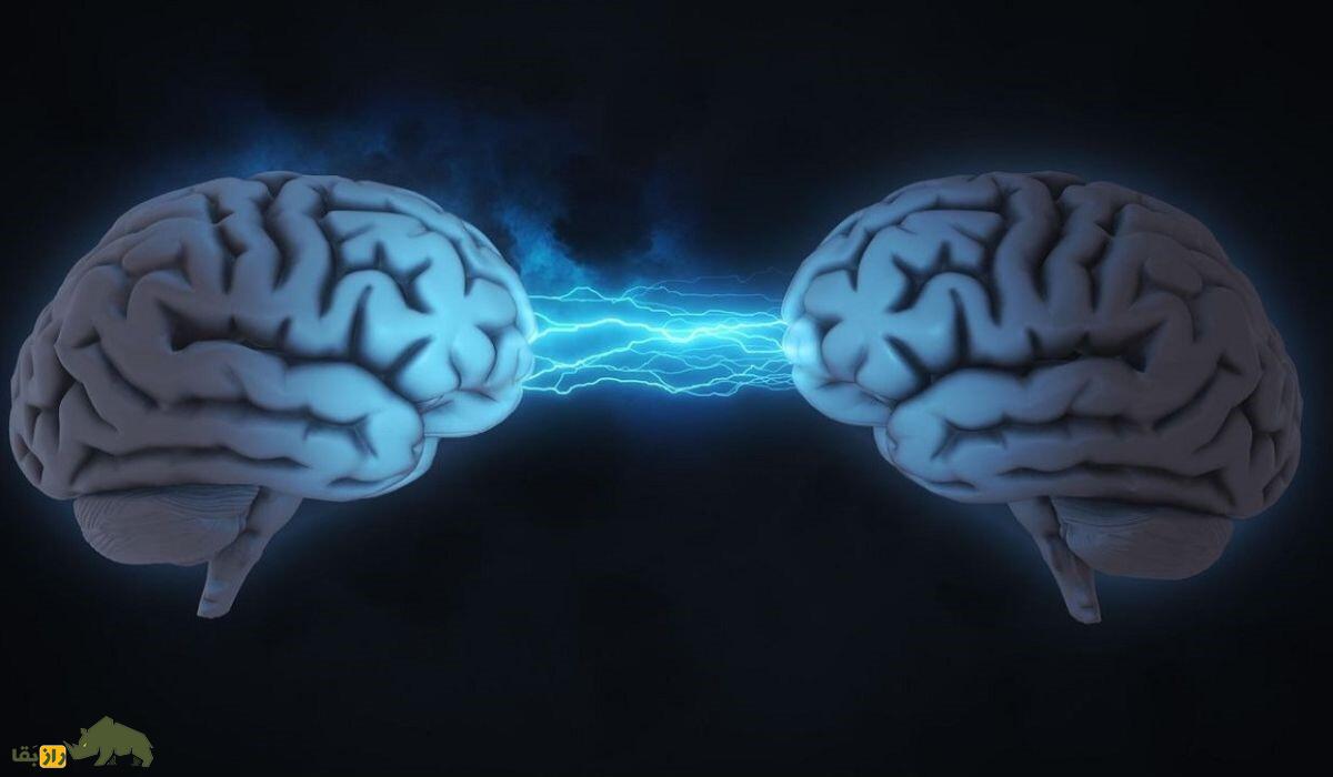 انسان دو مغز