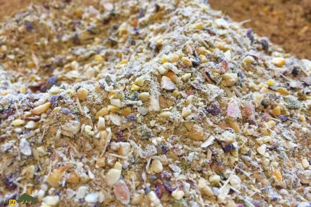 چگونه با استفاده از مواد بومی، خوراکی ارزان و مقوی برای دام‌ها تهیه کنیم؟ راهنمای عملی دامداران