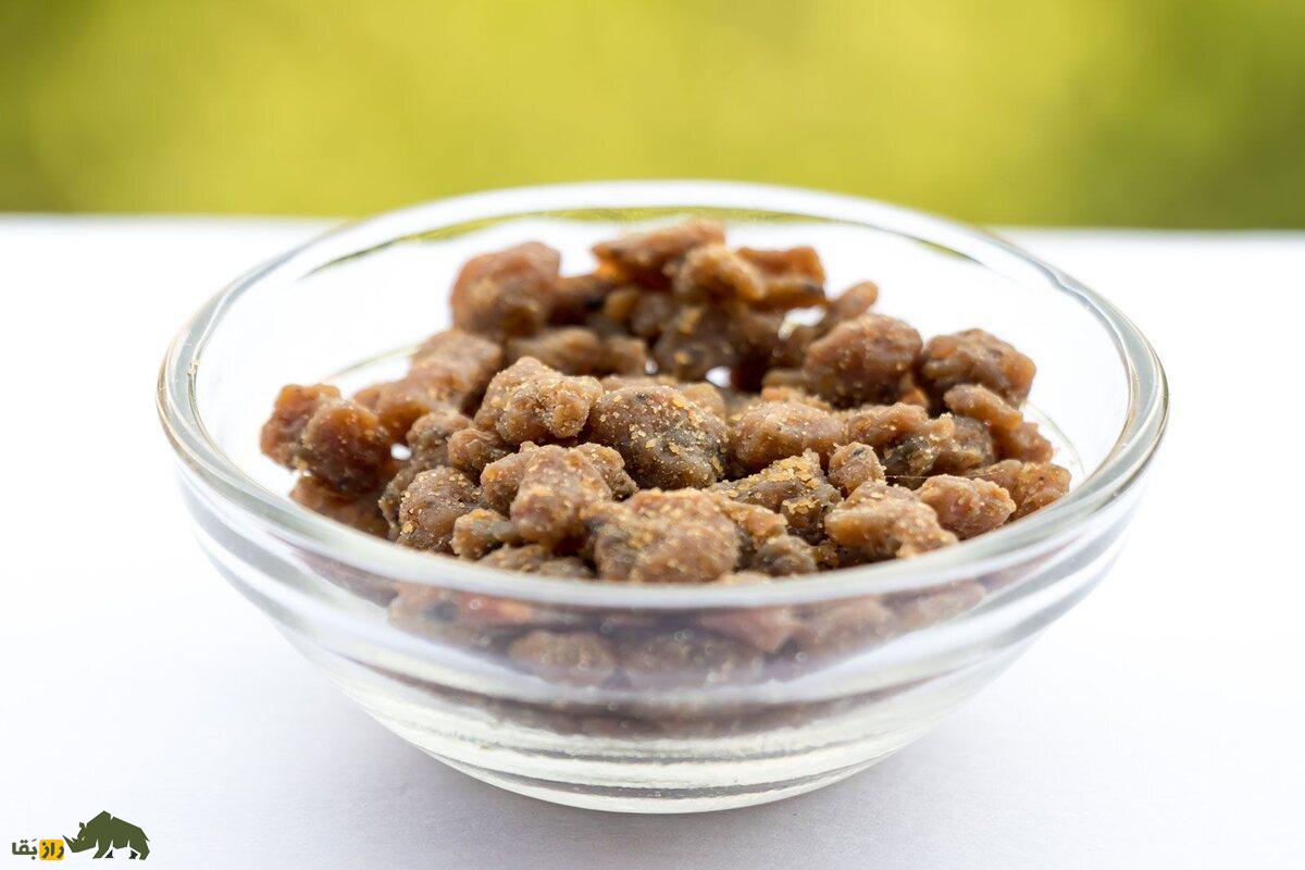 کشت آنغوزه در نهبندان؛ گیاه دارویی با درآمد میلیونی، کم‌مصرف و صادراتی در دل کویر ایران