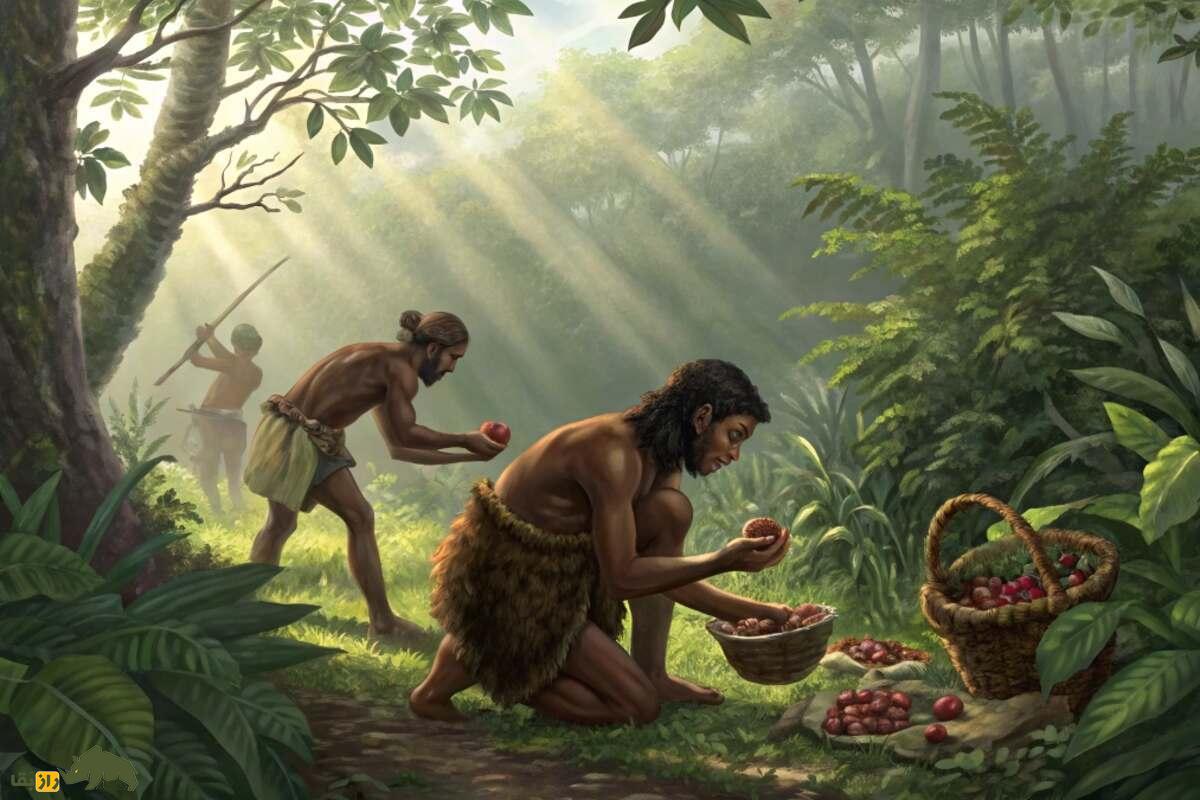 رژیم غذایی انسان‌های اولیه پیش از اختراع آتش؛ از تغذیه خام تا لاشه‌خواری در مسیر تکامل بشری
