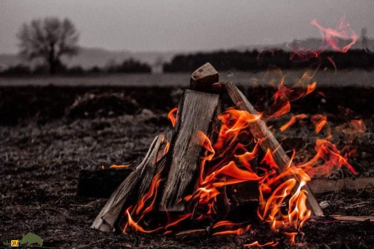 اولین بار آتش کی و کجا و توسط چه کسانی کشف شد؟ آتش