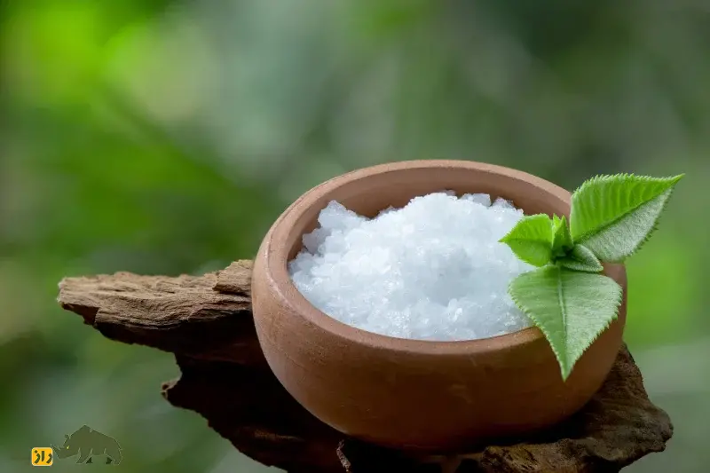 یک ظرف حاوی کافور در کنار برگ کافور