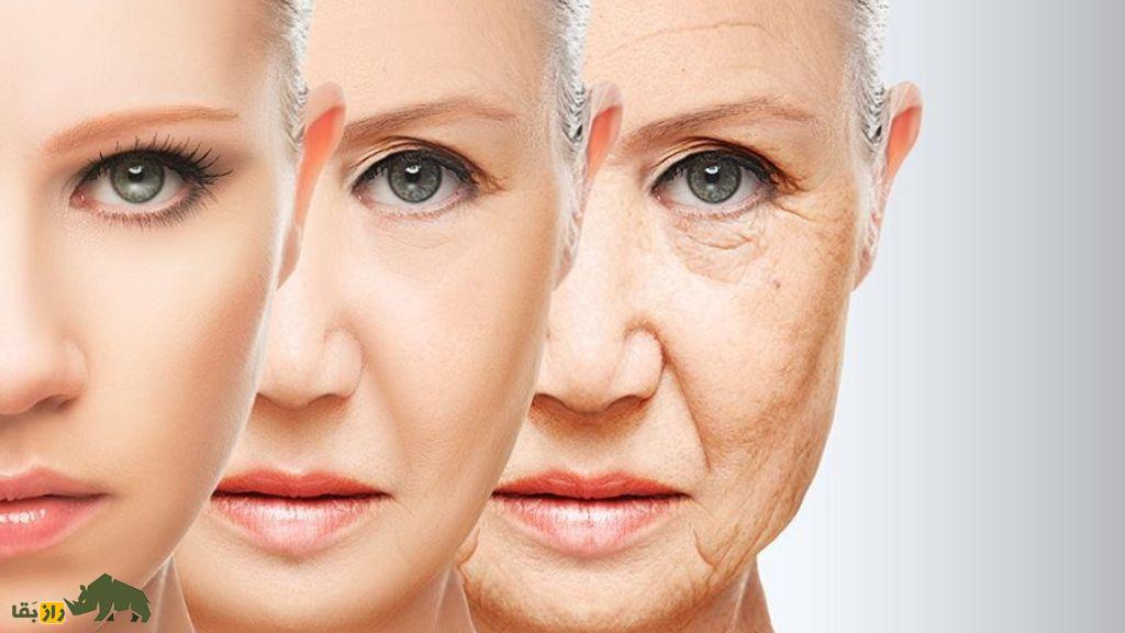 پیری چیست و چه اتفاقاتی در بدن با افزایش سن رخ می‌دهد؟