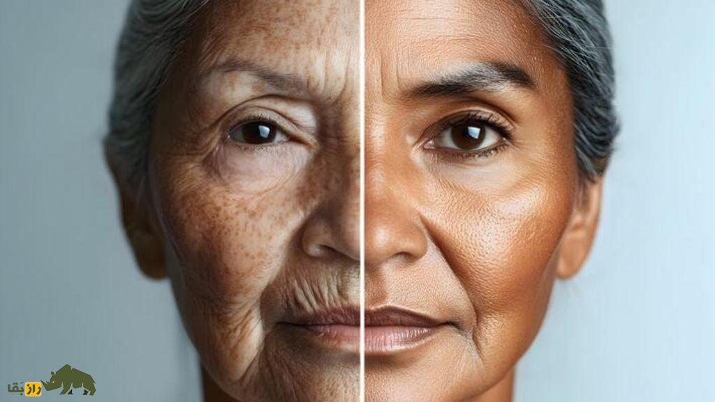 پیری چیست و چه اتفاقاتی در بدن با افزایش سن رخ می‌دهد؟