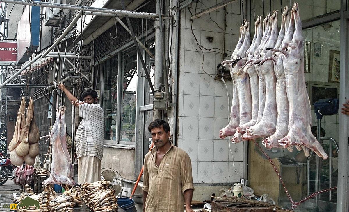 گوشت خر و قاطر