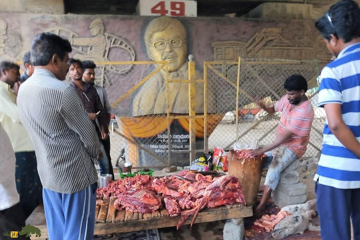 چرا با وجود تشابه زياد خر با چهارپایان حلال، خوردن گوشت خر و قاطر مكروه است؟ گوشت کدام نوع خر در اسلام حلال است؟