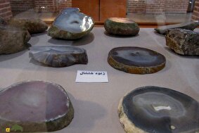 درخت عقیق اردبیل؛ درختی در منطقه ارشق اردبیل که مواد معدنی را به سنگ عقیق تبدیل میکند