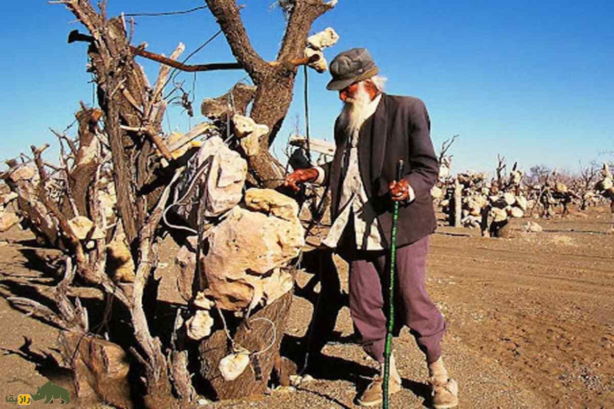 باغ سنگی سیرجان؛ وقتی فریاد یک کشاورز از دل کویر برخاست باغ سنگی سیرجان؛ وقتی فریاد یک کشاورز از دل کویر برخاست