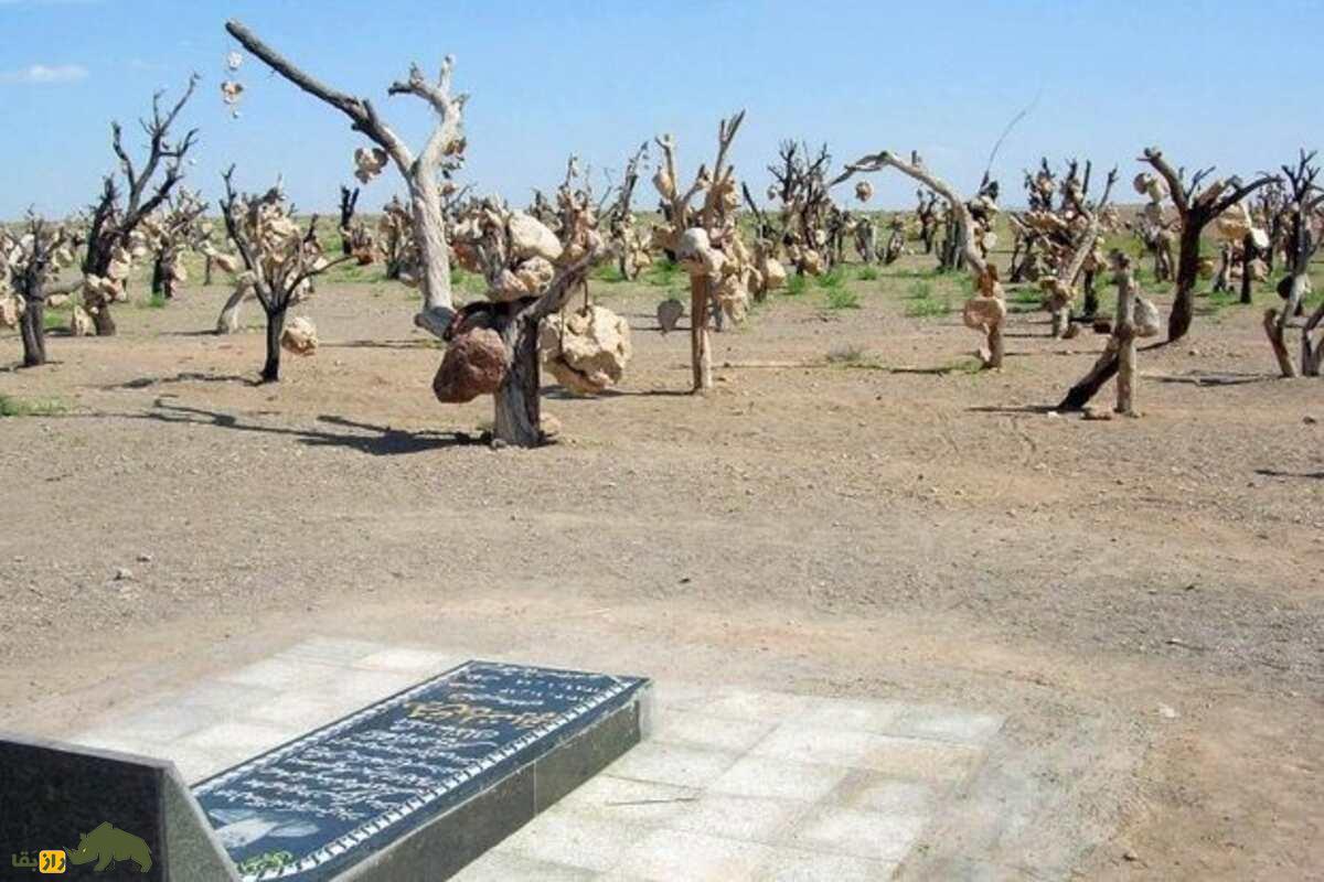 باغ سنگی سیرجان؛ وقتی فریاد یک کشاورز از دل کویر برخاست باغ سنگی سیرجان؛ وقتی فریاد یک کشاورز از دل کویر برخاست