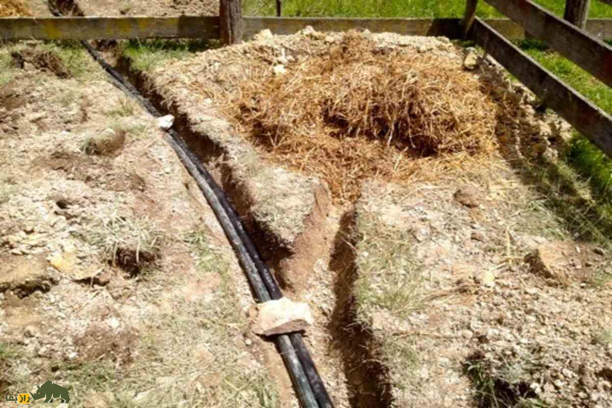بادمجان با آب خاکستری؛ خلاقیت روستاییان که قنات نداشتند، ولی محصول داشتند بادمجان با آب خاکستری؛ خلاقیت روستاییان که قنات نداشتند، ولی محصول داشتند