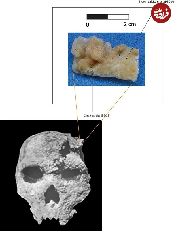 کشف موجود ناشناخته شبیه انسان که ۲۸۶ هزار سال سن دارد!