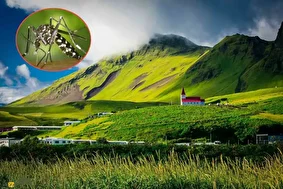 کدام کشورهای دنیا پشه ندارند؟