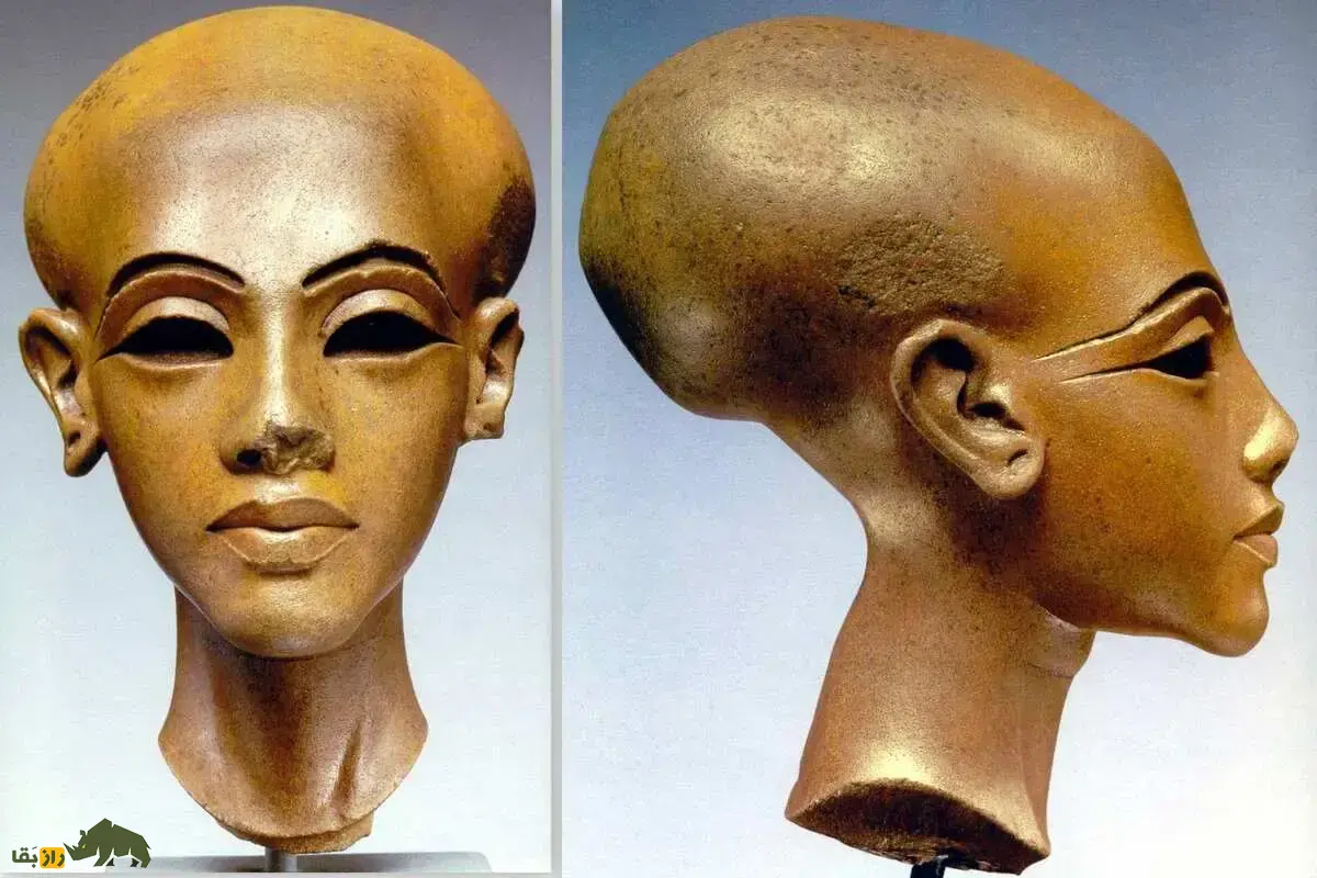 راز تغییر شکل جمجمه در مصر باستان؛ چرا زنان مصر باستان کله‌های اتوبوسی داشتند؟