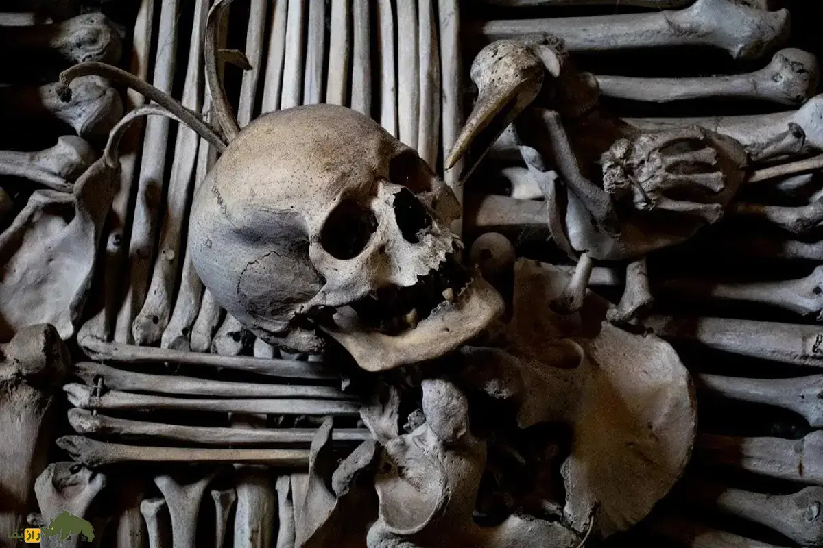 کلیسای استخوان؛ کلیسای ترسناک و مرموز چک که با ۷۰ هزار اسکلت انسان تزئین شده است کلیسای استخوان