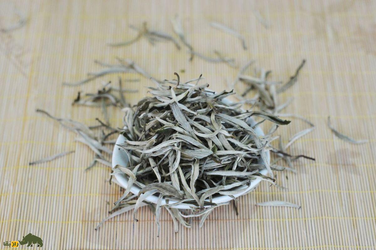 چای سفید؛ نوشیدنی سلطنتی و کمیاب‌ترین و گران‌ترین چای جهان که هر فنجان آن چند میلیون قیمت دارد