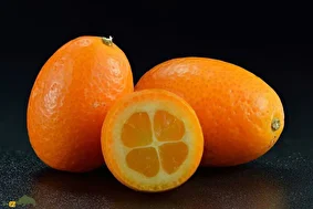 پورنج؛ کوچکترین میوه مرکبات جهان در مازندران و گیلان که هموزن زیتون است و پوستی شیرین و گوشتی ترش دارد!