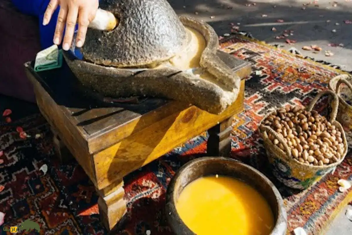 روغن آرگان؛ راز بزهای درخت‌نورد و طلای مایع مراکش که مسیر تولید یکی از ارزشمندترین روغن‌های طبیعی جهان را رقم می‌زند