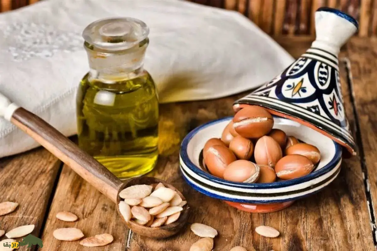 روغن آرگان؛ راز بزهای درخت‌نورد و طلای مایع مراکش که مسیر تولید یکی از ارزشمندترین روغن‌های طبیعی جهان را رقم می‌زند