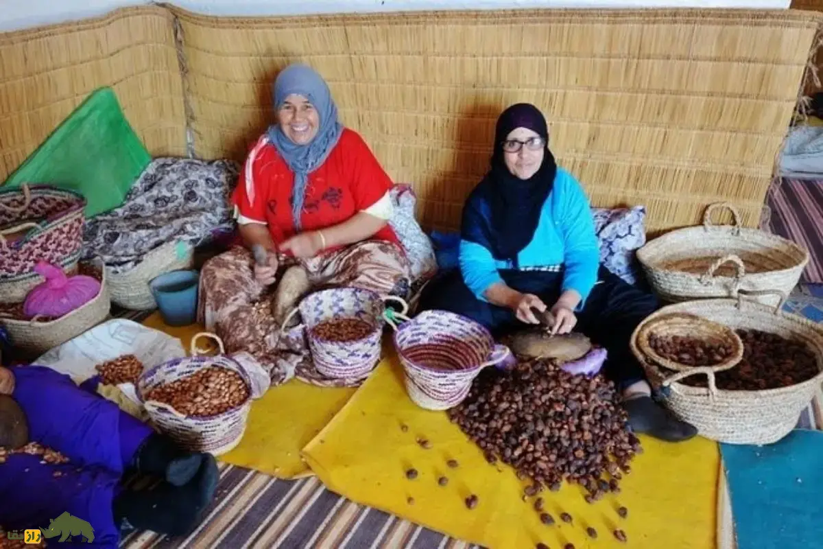 روغن آرگان؛ راز بزهای درخت‌نورد و طلای مایع مراکش که مسیر تولید یکی از ارزشمندترین روغن‌های طبیعی جهان را رقم می‌زند