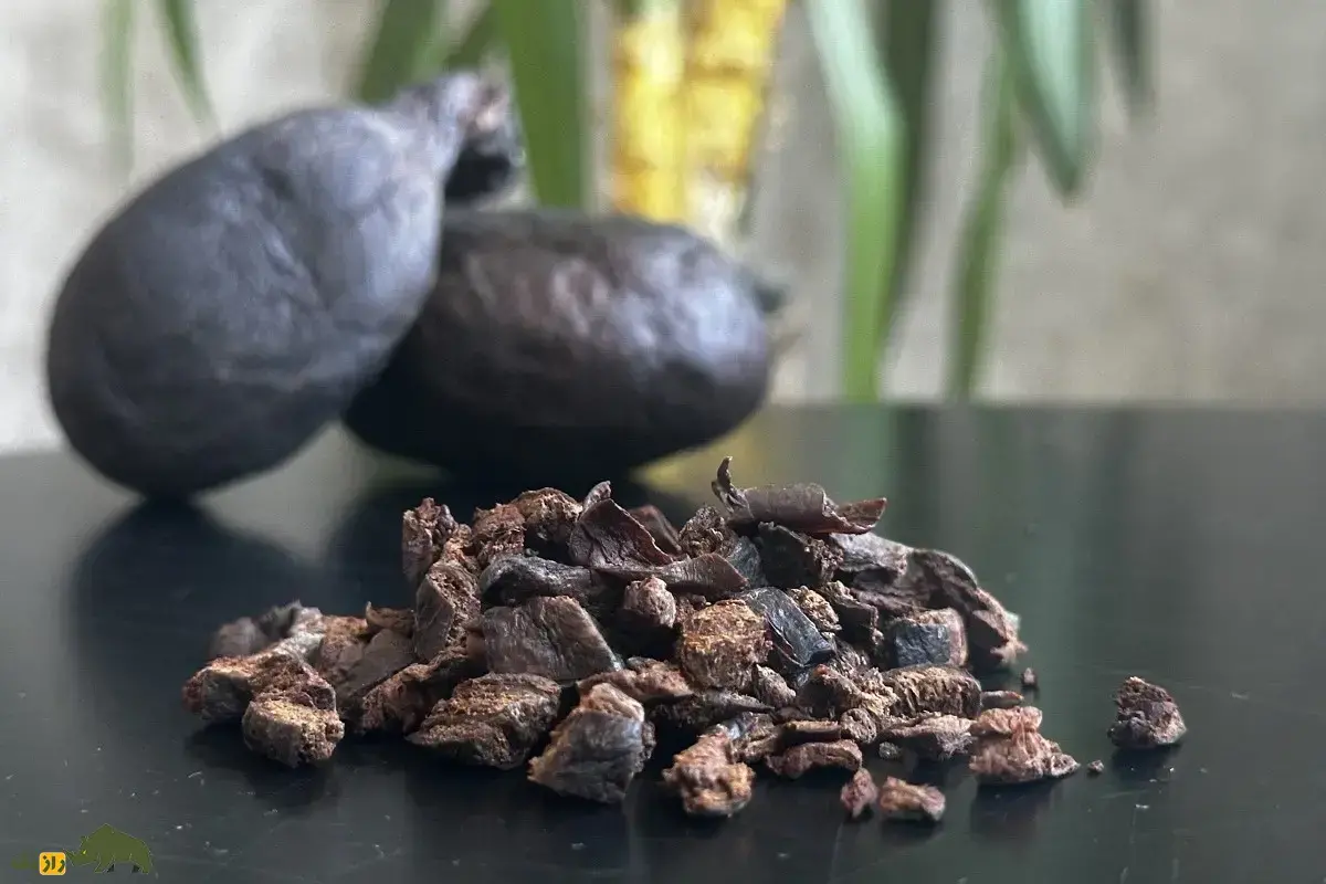 کاستوریوم یا جُند بیدَستَر؛ ماده روغنی و خوشبو که از بیضه یا غدد مقعدی سگ آبی استخراج میشود و با آن عطر میسازند