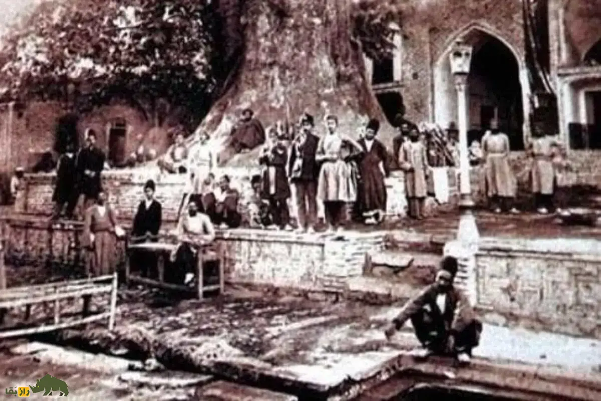 چنارعباسعلی؛ درختی کهنسال در تهران قدیم که به دستور ناصرالدینشاه پناهگاهی مقدس برای زنان دربار شد