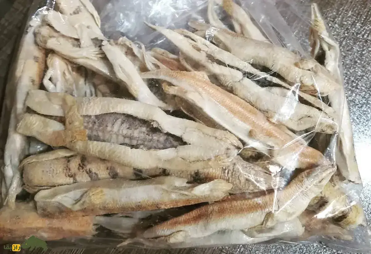 ماهی سمنقور؛ پوست خشک‌شده ریگ‌ماهی که تقویت‌کننده میل جنسی‌ست و کیلویی ۵۰ میلیون تومان قیمت دارد!