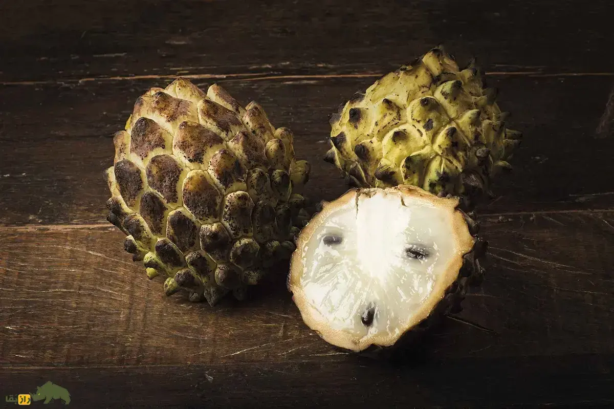 سیب شکری وحشی؛ میوه‌ معروف به «دسر شیرین طبیعت» با بافت ابری و کف‌آلود که پوستش شبیه پوست تمساح است!