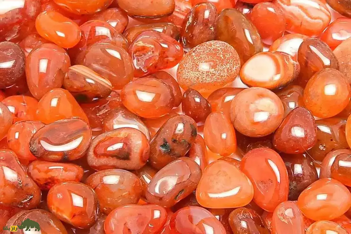 ۸ سنگ معجزه‌گر جذب ثروت؛ کدام سنگ‌ها انرژی، پول و شانس را فعال می‌کنند و چطور می‌شود آنها را پیدا کرد؟