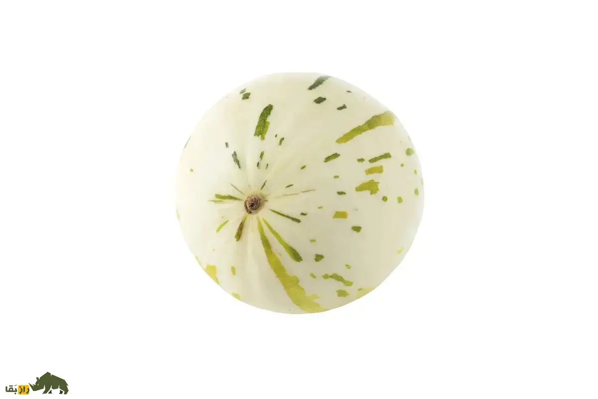 خربزه تخم دایناسور؛ خربزه‌ای گرد و سفید که پوست آن شیرین و خوراکی است و گوشتش مزه خیار و گلابی می‌دهد