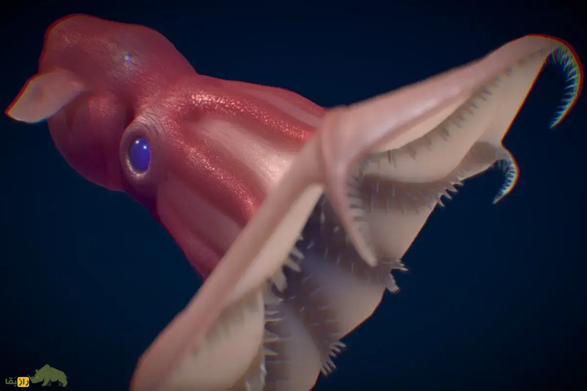 راز ژنوم ماهی مرکب خونآشام؛ فسیل زندهای که حلقه گمشده تکامل اختاپوسها را آشکار کرد راز ژنوم ماهی مرکب خونآشام؛ فسیل زندهای که حلقه گمشده تکامل اختاپوسها را آشکار کرد