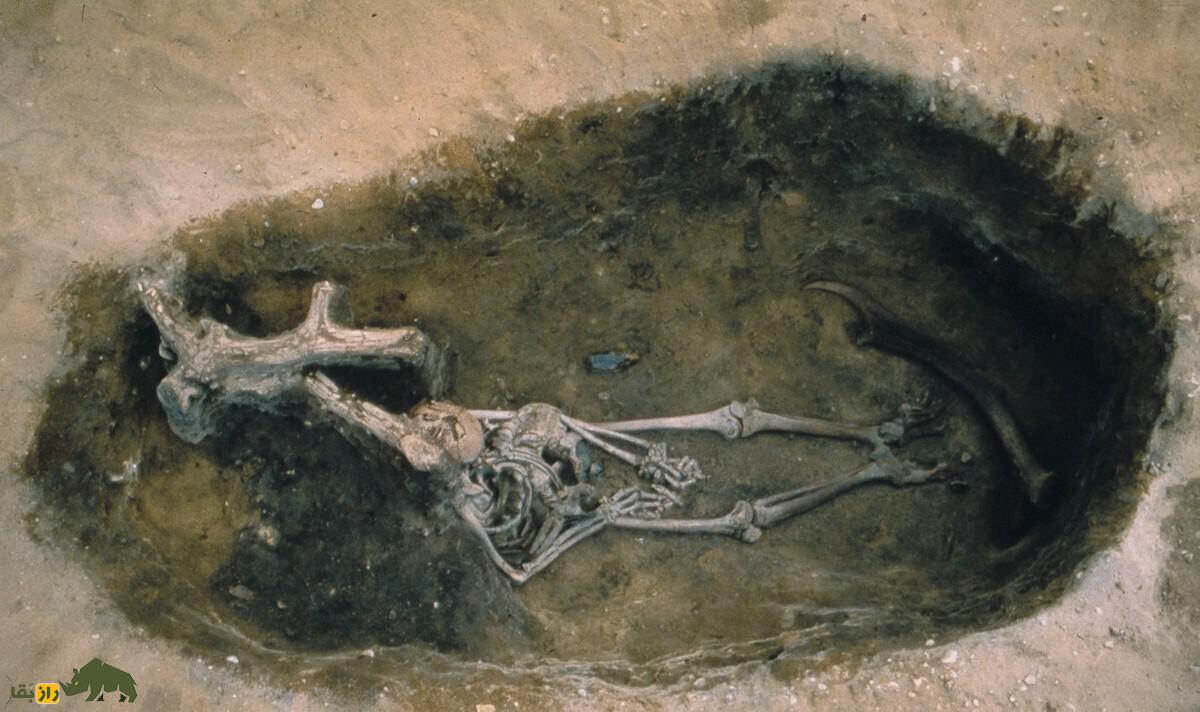 راز هولناک گورستان ۷۰۰۰ ساله سوئد؛ کشف جسد پسربچه عصر سنگ با لباس پوست گوزن و تاج پر دارکوب که تاریخ پوشاک و آیین‌های باستانی را دگرگون کرد