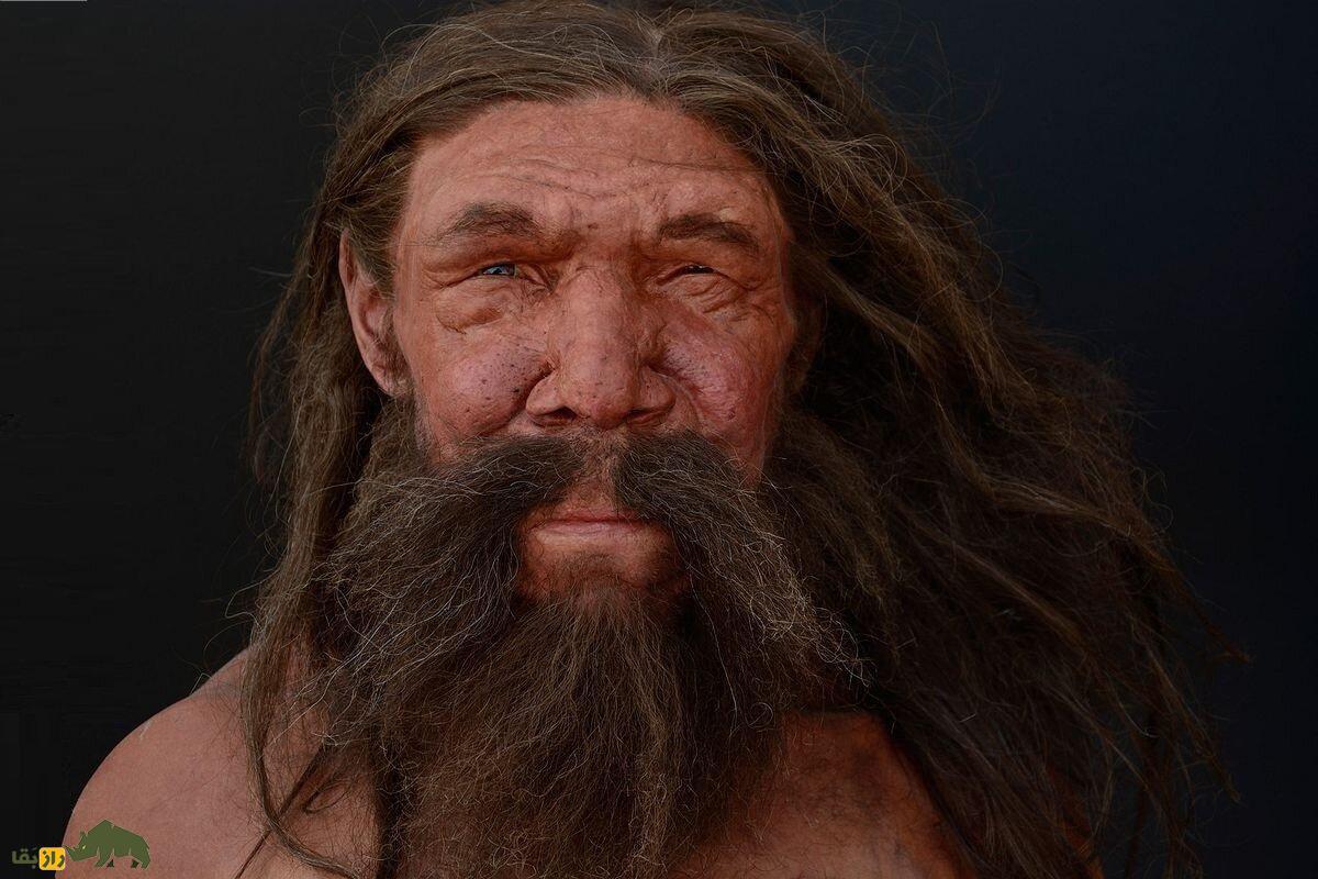 اگر قوی‌ترین بوکسور تاریخ جهان با یک نئاندرتال مبارزه کند کدام یک پیروز می‌شود؟