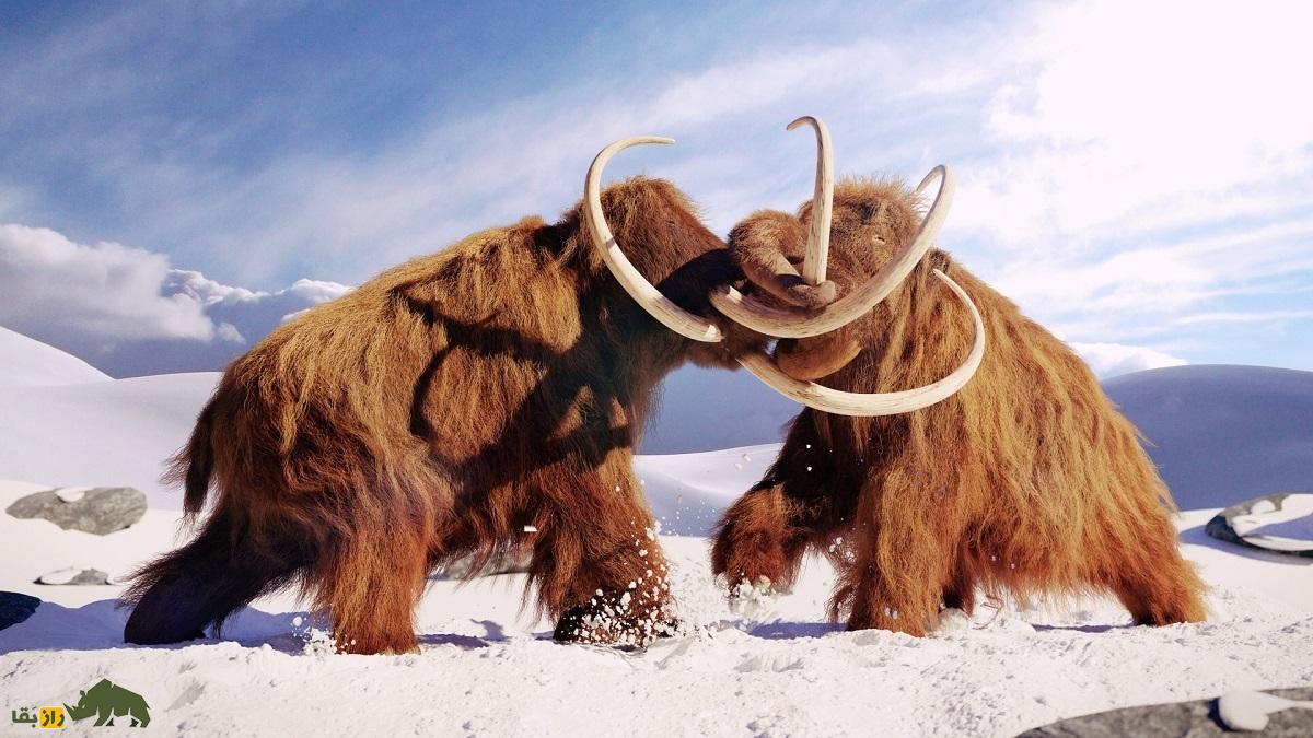 ایران در عصر یخبندان چگونه بود و چه جانورانی در آن زندگی می‌کردند و نئاندرتال‌ها در کدام مناطق ایران ساکن بودند؟