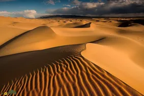 بیابان‌های آوازخوان؛ صدای مرموزی که در برخی از بیابان‌های بسیار خشک جهان شنیده می‌شود چیست؟