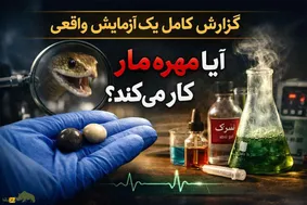 گزارش کامل یک آزمایش واقعی «یک هفته زندگی با مهره مار»؛ آیا مهره مار واقعاً کار می‌کند؟