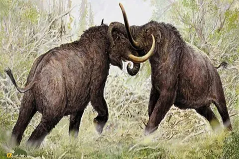 فیل سوری و فیل‌های پلیستوسن؛ راز فیل‌های منقرض‌شده ایران در خوزستان و اردبیل چیست؟