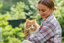 راز جرقه عشق کشف شد؛ چرا نوازش گربه شوک الکتریکی تولید می‌کند؟