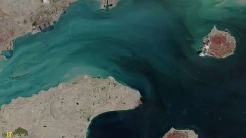 از دشت وسیع تا مخزن آب شیرین؛ خلیج فارس و تنگه هرمز در زمان انسان‌های اولیه چه شکلی بود؟
