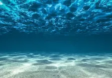 اگر جای اقیانوس‌ها و خشکی‌ها عوض شوند چه اتفاقی می‌افتد؟