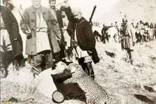 روزگاری که تهران پلنگ داشت؛ پلنگ‌های تهران کجا رفتند؟
