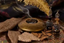عود کالمانتان و هیلاری؛ گران‌ترین عودهای وحشی دنیا و گنج پنهان جنگل‌های استوایی که قیمت چند گرم آن به اندازه یک کیلو طلاست!