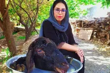 (ویدئو) پختن کله‌پاچه و سیرابی میش توسط زن یزدی به شیوه قدیمی‌ها