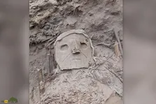 دی‌ان‌ای انسان در «تخم شپش» چه می‌کند؟!