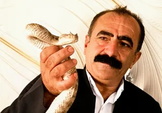 (ویدئو) فیلمی عجیب از غذا خوردن یک مرد کرمانشاهی با یک مار کبرا؛ خداداد مروتی به مار کبری چای تعارف می‌کند