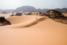 کشف حیرت‌انگیز؛ صحرای بزرگ آفریقا ۴ هزار سال پیش جنگلی سرسبز بود!